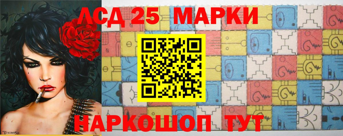 МЕФ Чита