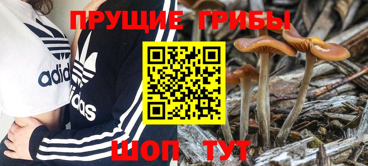 Псилоцибиновые грибы Magic Shrooms Чита