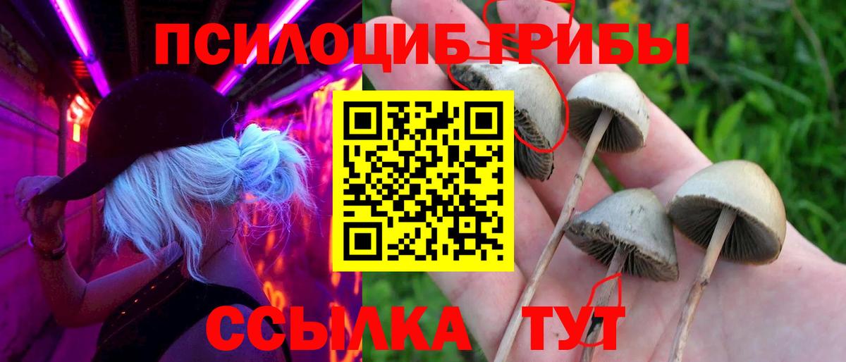 Чита  Галлюциногенные грибы MAGIC MUSHROOMS  Вход с VPN 