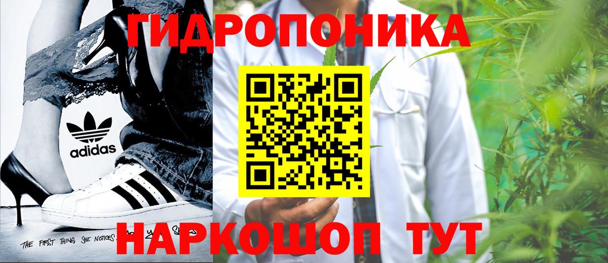Бошки марихуана Amnesia Чита